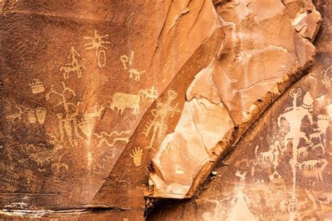 Petrified Forest, Jurassic Coast, Petroglyphs, Rock Art, Fossils, Archaeology, Newspaper, Art ...