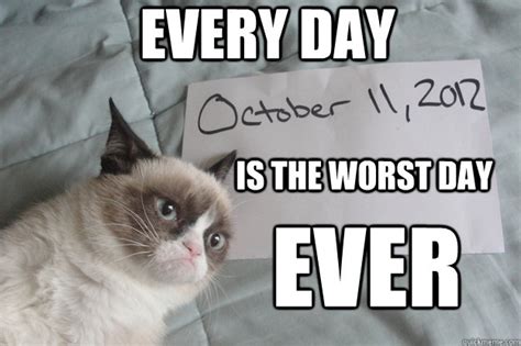 is the worst day ever Every day - Bad Day Grumpy Cat - quickmeme