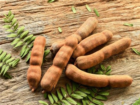 Tamarind Pods Tamarind Whole Sour & Sweet Tamarind 100% - Etsy