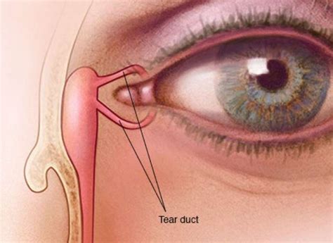 Cosmetic Surgery | Lacrimal System - Dr. Rizzuto