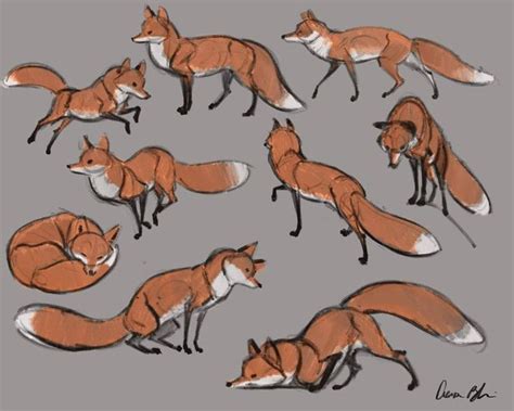 From my lecture on gesture drawing Foxes. Get my entire series on How ...