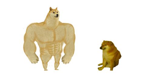 Swole Doge vs. Cheems | Know Your Meme