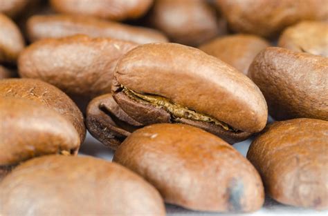 Brown Coffee Beans · Free Stock Photo