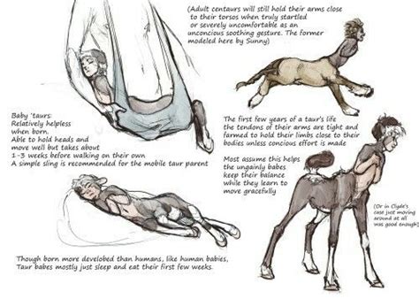 Centaur Drawing, Pencil, Sketch, Colorful, Realistic Art Images | Drawing Skill