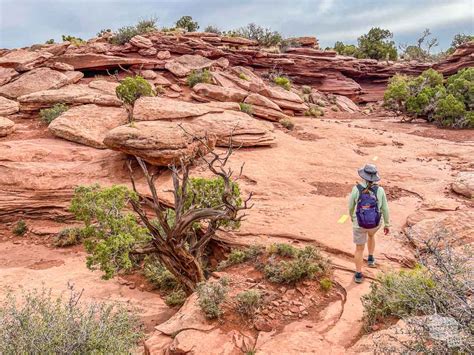 Hiking at Dead Horse Point State Park - Our Wander-Filled Life