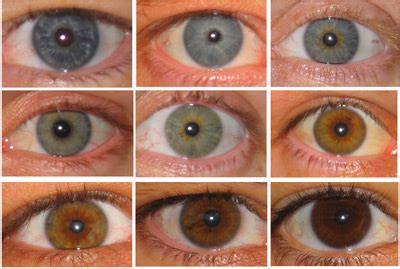 an eye color chart i made since i couldnt find any that i like on the - the best 22 blue eye ...