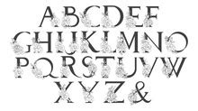 Alphabet Letters Clip-art Free Stock Photo - Public Domain Pictures