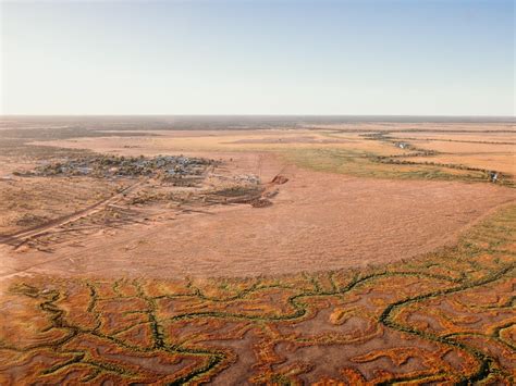 Channel Country is teeming with colour, with wet summer forecast to ...