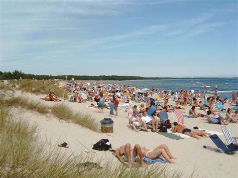 Swedish Beaches great for the long Summer Days | Beach, Summer days, Summer