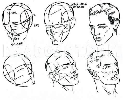 How To Draw Facial Features, Features Of The Face, Step by Step, Drawing Guide, by catlucker ...