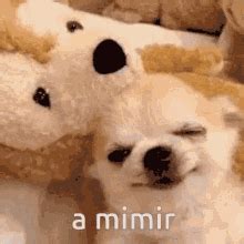 A Mimir GIF - A Mimir - Discover & Share GIFs