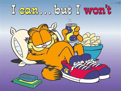 HD wallpaper: Garfield monday, funny, tired | Wallpaper Flare