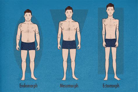 The Male Body Types: Ectomorph, Endomorph, Mesomorph