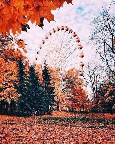 Fall