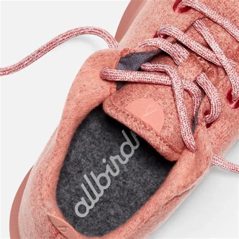 Allbirds