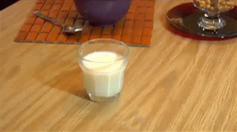 Milk Spill GIFs - Find & Share on GIPHY