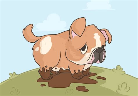 Why Is My Puppy Eating Poop? Solutions for Coprophagia