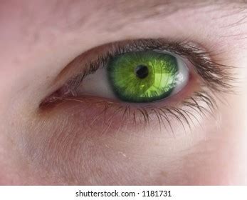 Emerald Green Eyes Stock Photo 1181731 | Shutterstock