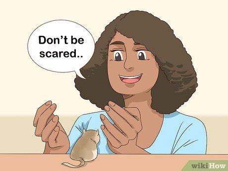 How to React when Your Gerbil Bites or Scratches: 10 Steps