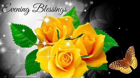 Pin by Sherry Sparks on Good Evening... | Yellow roses, Rose, Rose ...