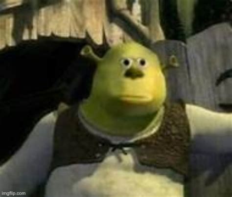 Shrek wut - Imgflip