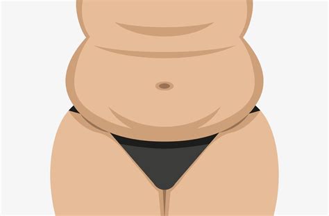 Fat female belly vector illustration. Chubby woman tummy. Plus size ...