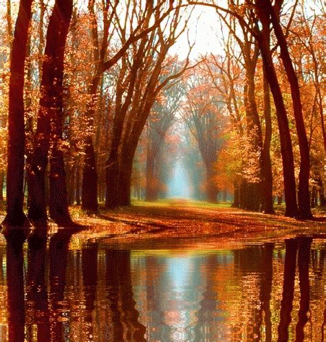 gif otoño animado | Beautiful landscapes, Nature, Landscape