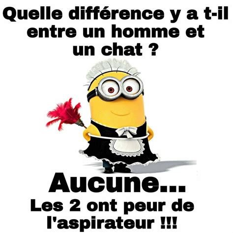 a minion holding a flower with the caption,'quelle differnce y attil ...