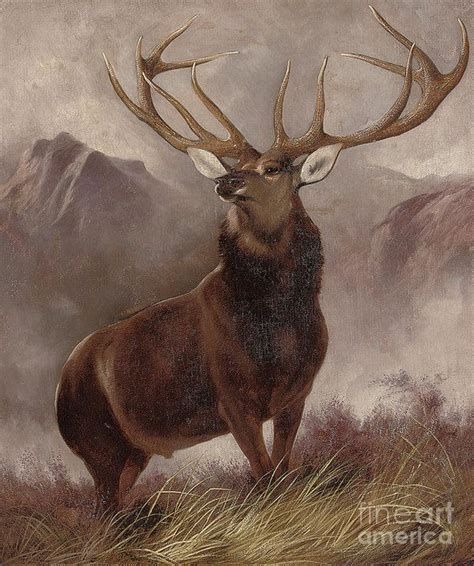 Monarch of the Glen Art Print by Edwin Landseer | Art prints, Art ...