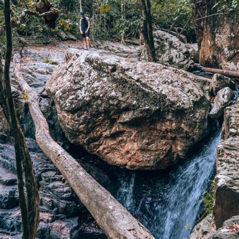 The Best Cairns Waterfalls – The Green Adventurers