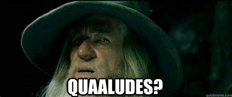 Quaaludes? - Gandalf - quickmeme