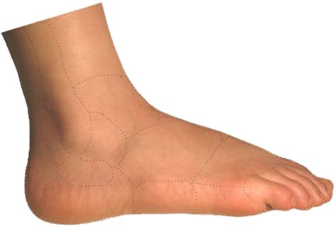 Step Up Your Foot Care Game with Our Guide to Healthy Feet