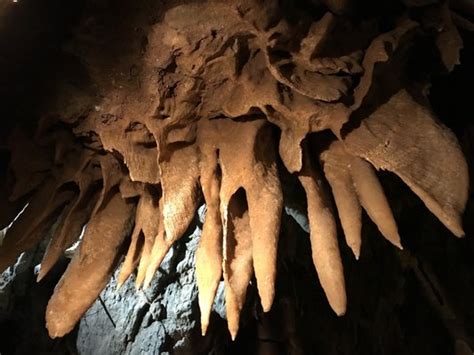 BLACK CHASM CAVERN - 522 Photos & 184 Reviews - Tours - 15701 Volcano Pioneer Rd, Volcano, CA ...