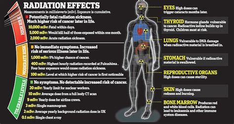 ~pengHuni~: The Radiation Effects on Human Body