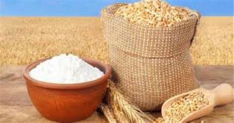 quality wheat powder, 1 kg at best price in Coimbatore | ID: 2851325083262