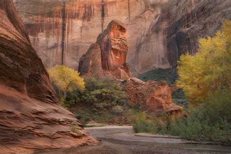 Coyote Gulch, Glen Canyon National Recreation Area - Alan Majchrowicz ...