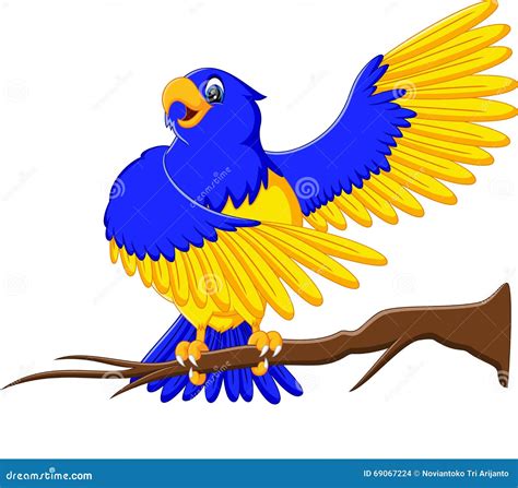 Cartoon macaw stock vector. Illustration of animal, macaw - 69067224