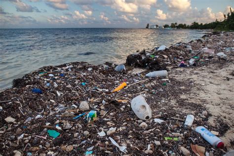 L’océan Arctique est, lui aussi, pollué par le plastique