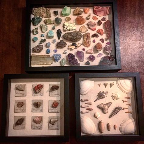 Rock, mineral, fossil, and shell shadow box displays | Rock collection display, Rock collection ...