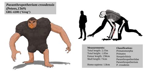 A Speculative version of Grug I did for creatuanary. : r ...