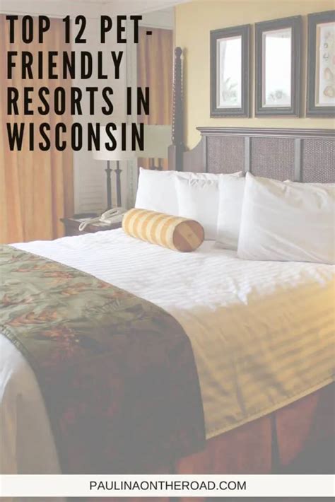 12 Best Pet-Friendly Resorts in Wisconsin - Paulina on the road