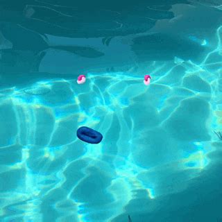 Pool GIFs - Find & Share on GIPHY