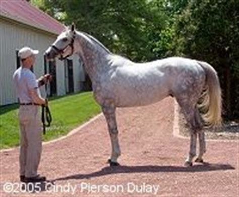 HARABELA WORLD RACEHORSE: ESTUDIO DEL PEDIGREE DE LOS SEMENTALES