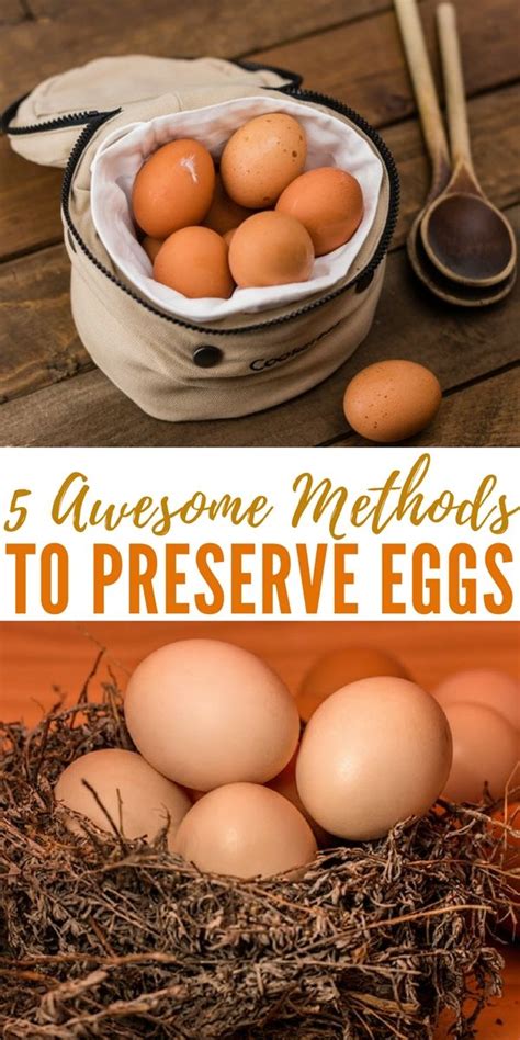 5 Awesome Methods to Preserve Eggs | Eggs, Dehydrated chicken, Preserving eggs