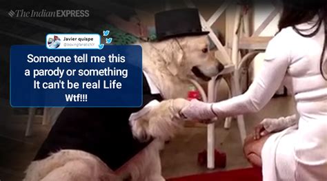 UK woman marries her dog on live TV, but no one’s impressed | Trending News - The Indian Express