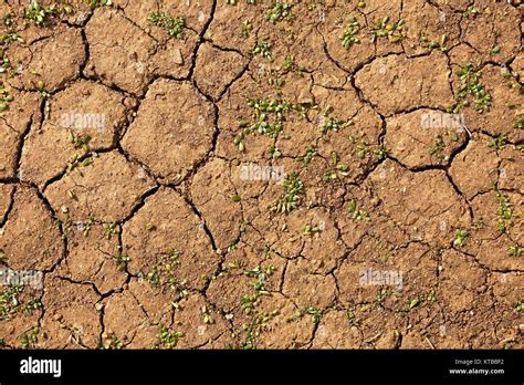 Dry Soil Texture Stock Photo - Alamy