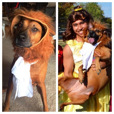 Chloe as the Beast. Beauty and the Beast Dog Costume. Rhodesian ...