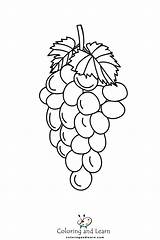 Grape Coloring Pages FREE 2025  And Learn sketch template