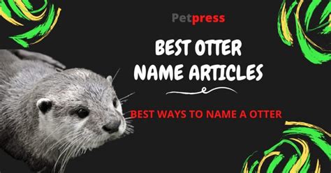 Best Names For An Otter - Good, Cute, & Famous Otter Names