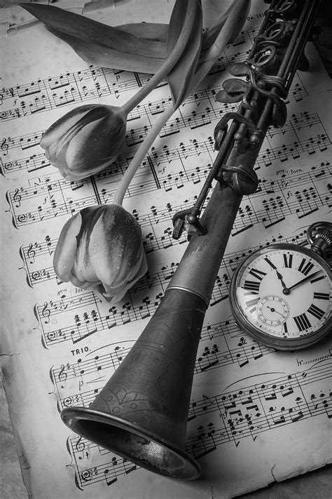 Clarinet In Black And White Photograph by Garry Gay - Fine Art America